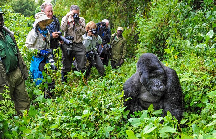HENRY TOURS AND SAFARIS LIMITED
